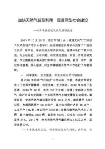 鎮(zhèn)鎮(zhèn)通天然氣調研報告（定）