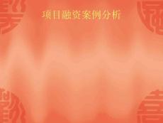 2.2國際信貸項目融資案例分析