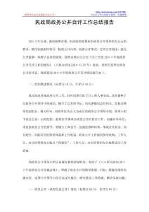 民政局政务公开自评工作总结报告