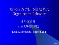 组织行为学核心主题全系列(MBA新版1)