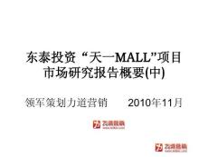 領(lǐng)軍策劃天一MALL策劃項(xiàng)目匯報(bào)（中）