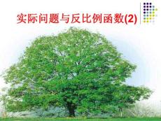 实际问题与反比例函数2【20101209sc】