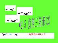 直角三角形(2)【20101209sc】