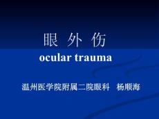 眼外伤课件