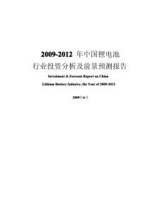 中国锂电池行业投资分析及前景预测报告