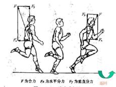 【体育课件】田径技术原理 (2)