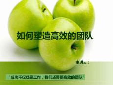 塑造高效團(tuán)隊(duì)PPT模板