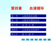 03生理學(xué)第四章血液循環(huán) (1)