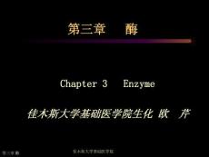 03生物化學(xué)第三章酶