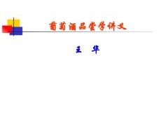 【食品课件】第二章 葡萄酒的外观及外观分析