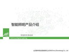 智能照明解決方案