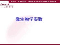 【生物课件】实验一、油镜的使用、细菌的革兰氏染色和细菌形态的观察