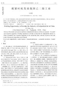 抓緊時機發(fā)展我國己二腈工業(yè)