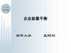 企業(yè)能量平衡  2010.12 鄭州  孟昭利