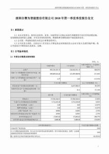 赛为智能：2010年第一季度报告