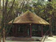 高中语文各单元课件-客至