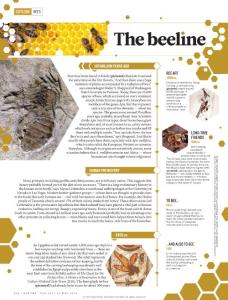 [PDF] The beeline