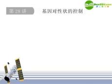 高中生物各单元课件-基因对性状的控制