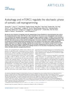 Autophagy and mTORC1 regulate the stochastic phase of somatic cell reprogramming