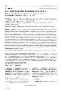 伴有上尿路梗阻的腺性膀胱炎的病理特征和免疫组化表达