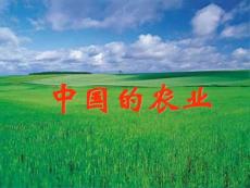 高中地理_中國(guó)農(nóng)業(yè)_優(yōu)質(zhì)課件_1572929918[優(yōu)質(zhì)文檔]