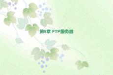 2014广东中职网络服务器配置与应用（校本教材）课件：第9章 FTP服务器01