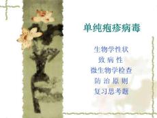 醫(yī)學(xué)微生物學(xué)--病毒【單純皰疹病毒】