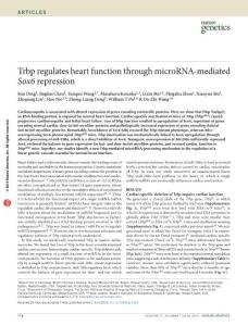 Trbp regulates heart function through microRNA-mediated Sox6 repression