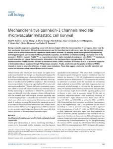 Mechanosensitive pannexin-1 channels mediate microvascular metastatic cell survival