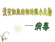 沒有細(xì)胞結(jié)構(gòu)的微小生物 病毒