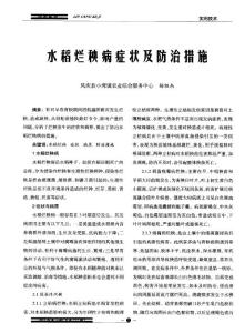 水稻爛秧病癥狀及防治措施