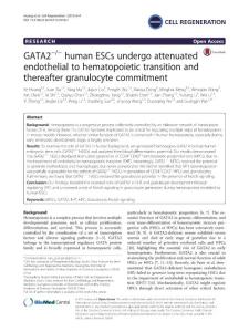 GATA2−:− human ESCs undergo attenuated endothelial to hematopoietic transition and thereafter granulocyte commitment