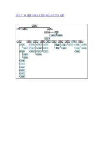 2010年11月国内部分大型网络游戏公司组织架构图