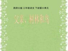 《父亲树林和鸟》课件（西师大版小学语文三年级下册课件）