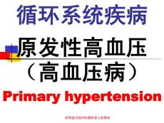 4高血壓病1