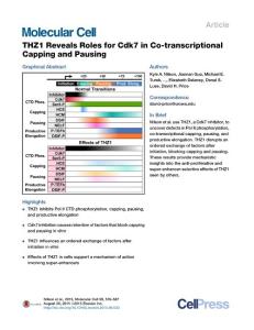 THZ1 Reveals Roles for Cdk7 in Co-transcriptional Capping and Pausing