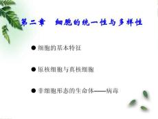 第02章 細(xì)胞的統(tǒng)一性與多樣性