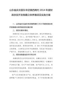 xx村財政扶貧項目實施方案