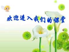 《散步》课件1（19张PPT）（苏教版八年级下）