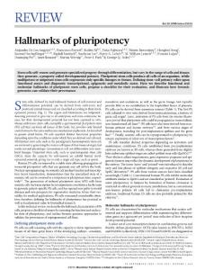 nature15515-Hallmarks of pluripotency