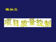 項目質(zhì)量控制