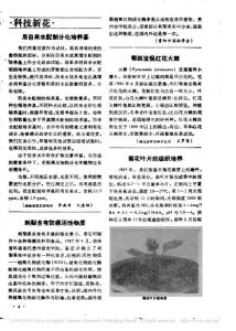 菊花葉片的組織培養