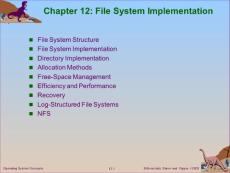 Chapter 12 File System Implementation