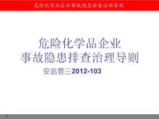 新隐患排查治理导则2012