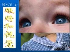 眼睛和视觉