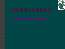 苏教版八下 20.1《源远流长的发酵技术》PPT课件