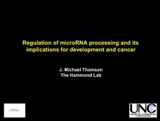 microRNA和癌症（Regulation of microRNA processing and its implications for development and cancer）