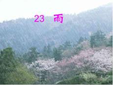 小学三年级语文课件→雨