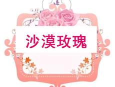 《沙漠玫瑰》課件-西師大版六年級上冊語文