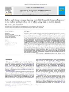 Carbon and nitrogen storage by deep-rooted tall fescue (Lolium arundinaceum)